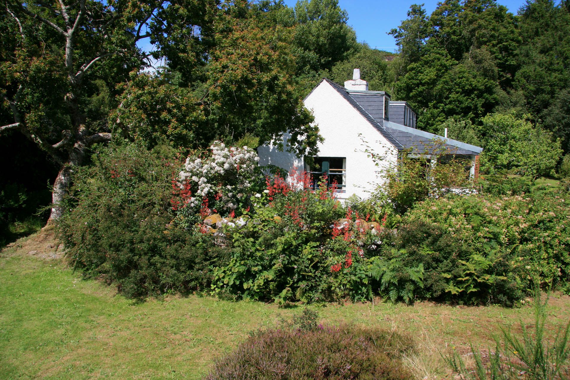 Exterior view of Aird Cottage garden, Badachro, Gairloch