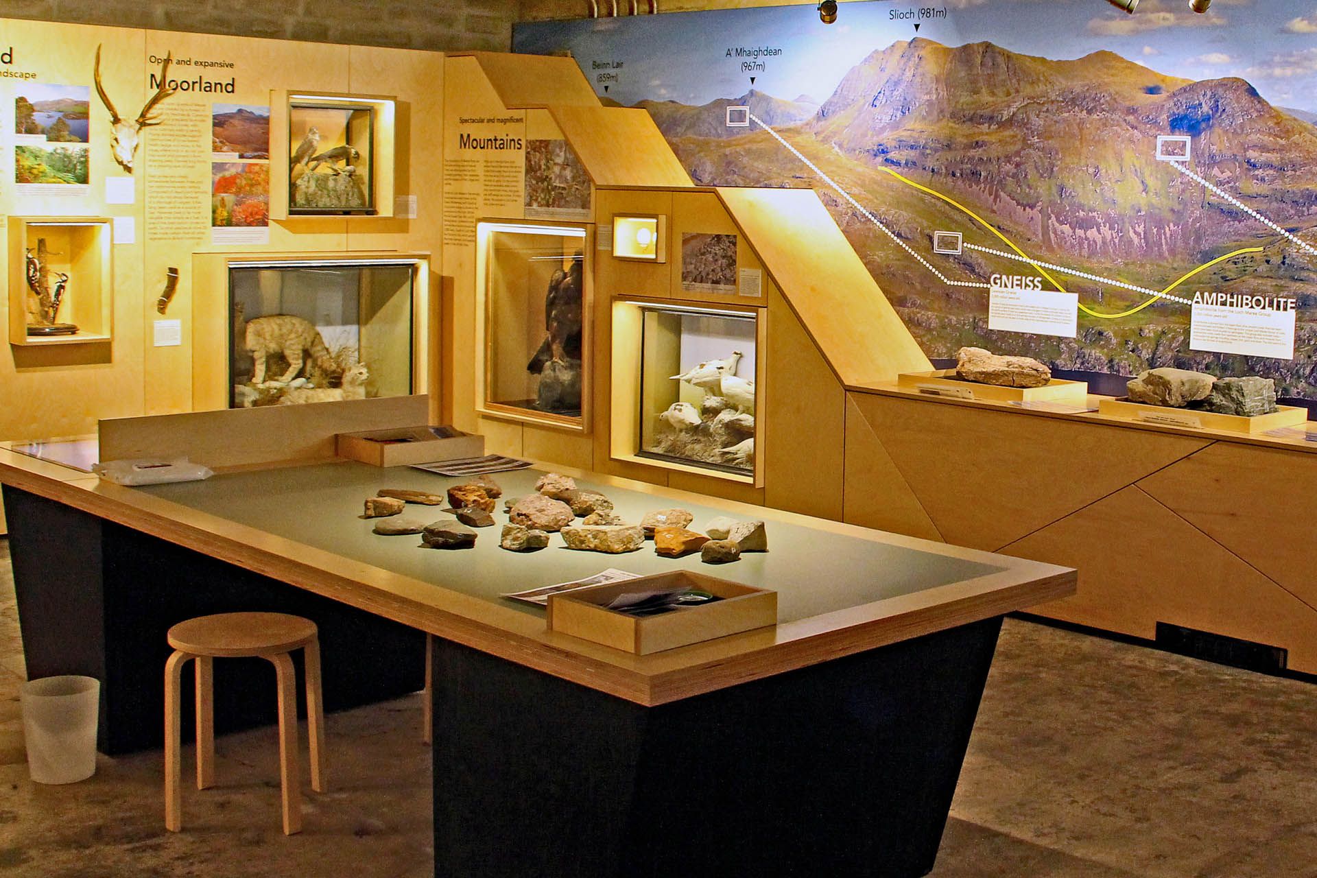 A picture of an exhibition within the Gairloch Museum. The picture features artifacts and stuffed animals.