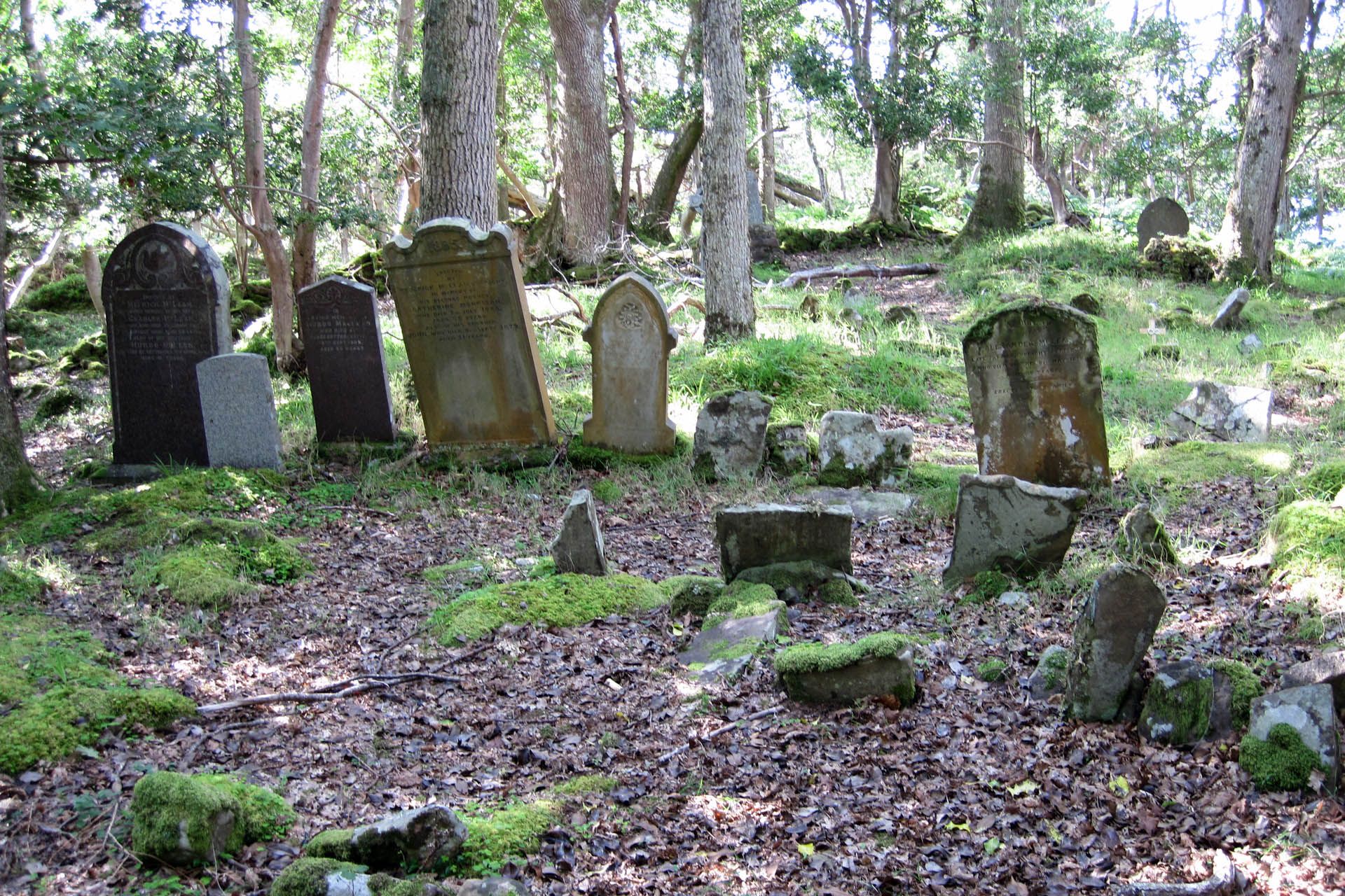 A picture of graves on the Isle Maree in Gairloch. The trees have coins hammered into them.