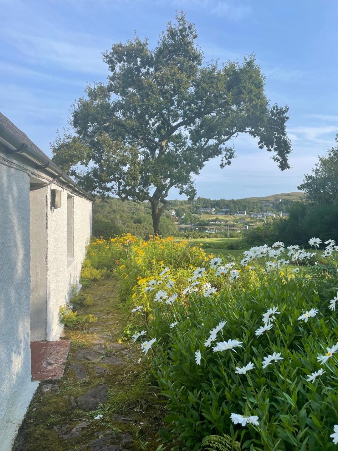 View of Aird Cottage's garden